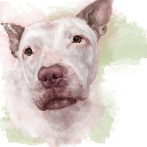 Memorial Dog Portrait