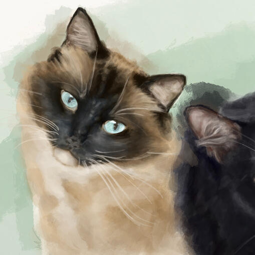 Cat Duo Pet Portrait