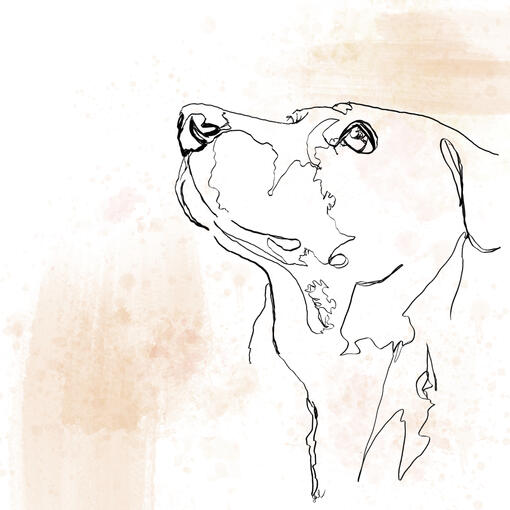 Dog Line Art with Watercolor and Ink